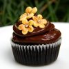 Choco Lovers Cupcakes (Set of 12)